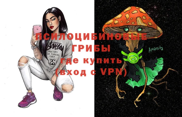 прущие грибы Нефтегорск