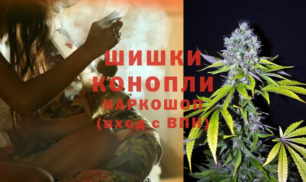 шишки Абинск
