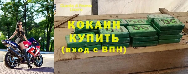 шишки Абинск
