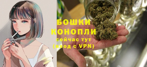 сатива Нефтекумск