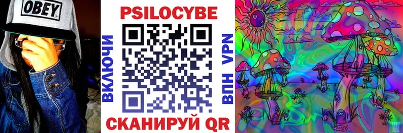 Псилоцибиновые грибы Psilocybine cubensis  Таштагол 